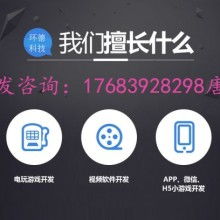廣東軟件開發 創新驅動下的軟件廠家生態與未來展望